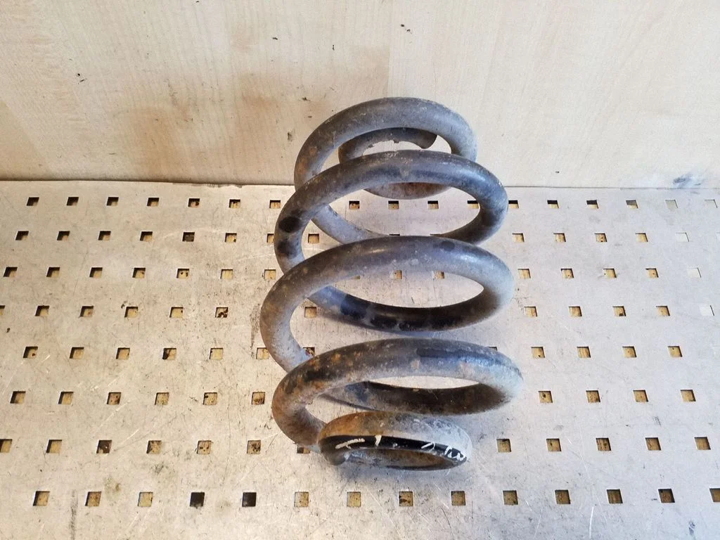 Rear coil spring