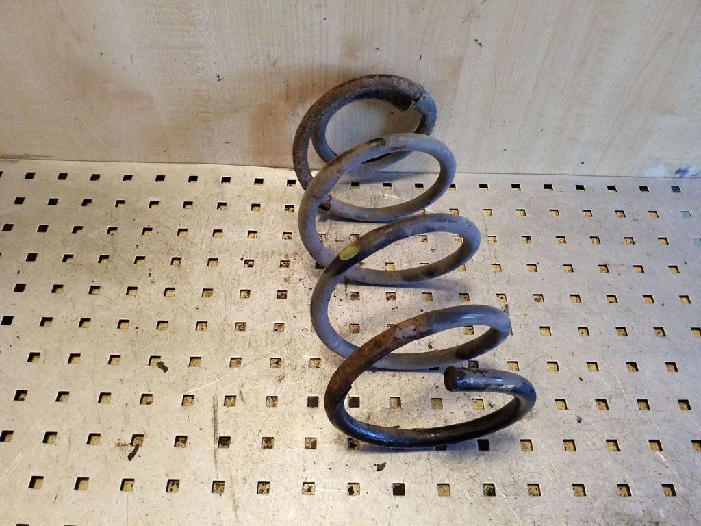 Rear coil spring