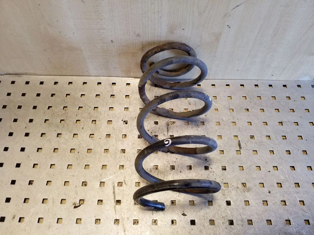 Rear coil spring