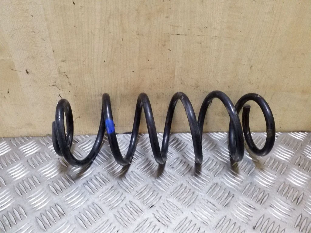 Rear coil spring