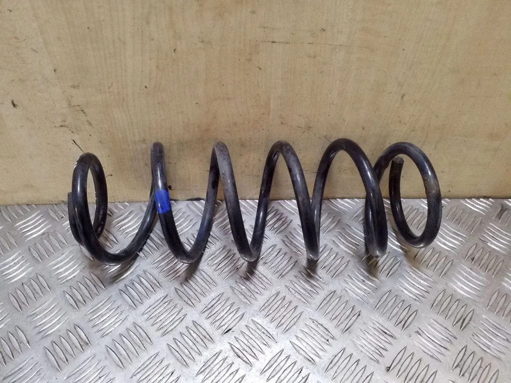 Rear coil spring