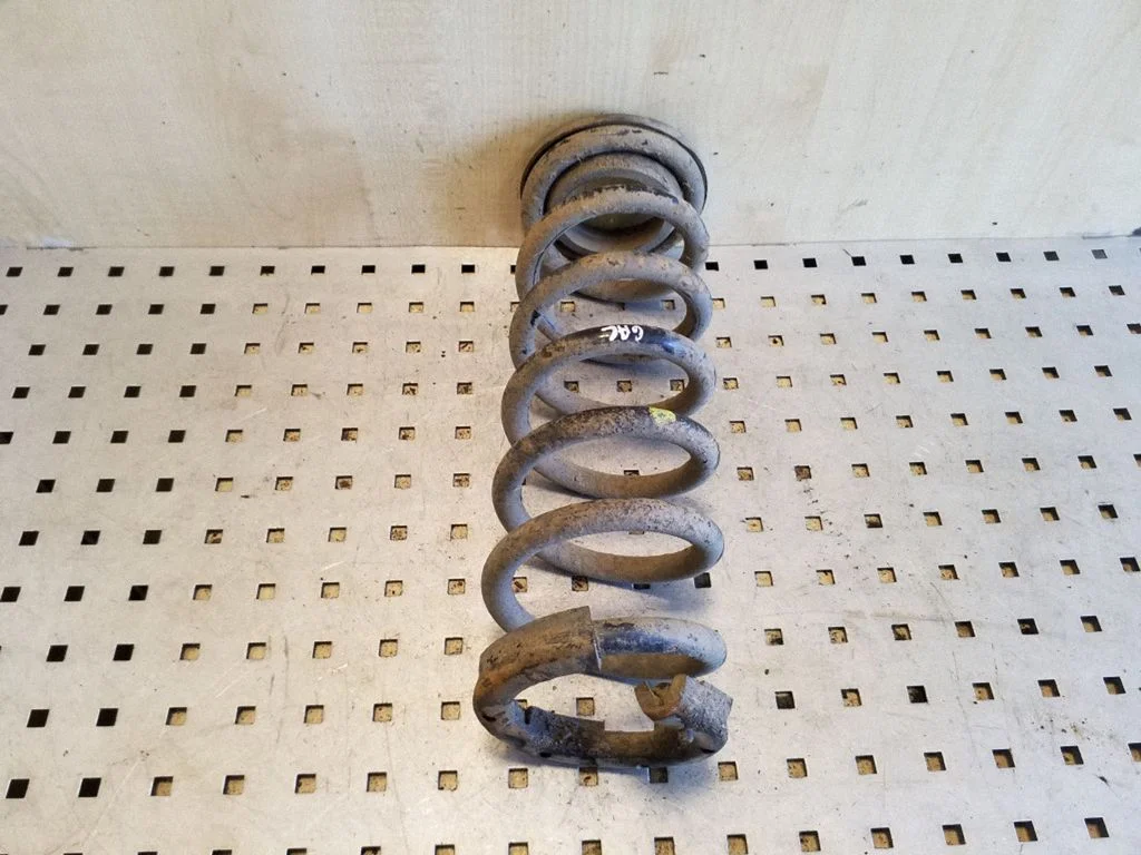 Rear coil spring