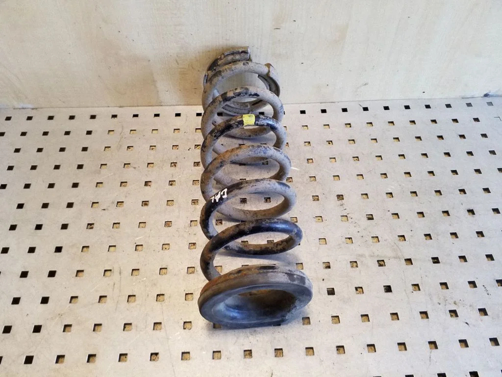 Rear coil spring