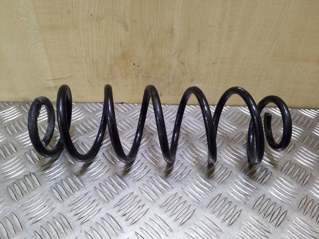 Rear coil spring