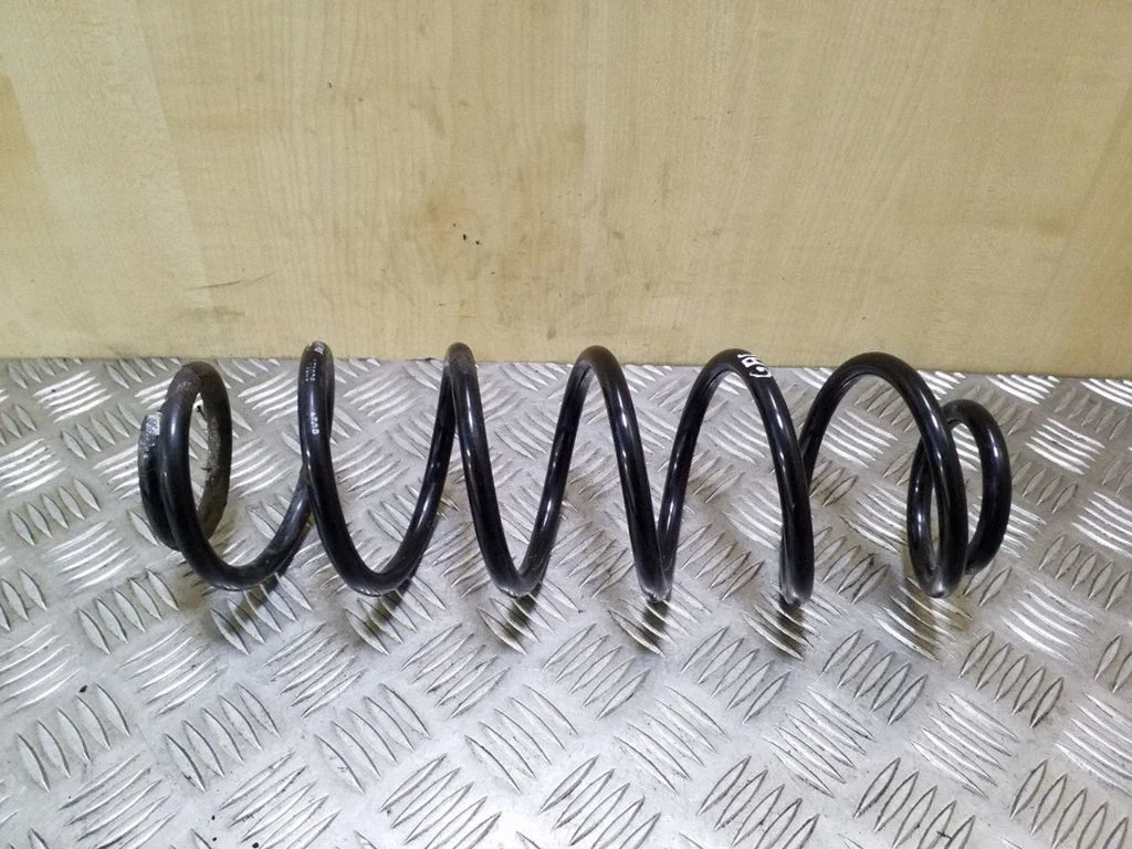 Rear coil spring