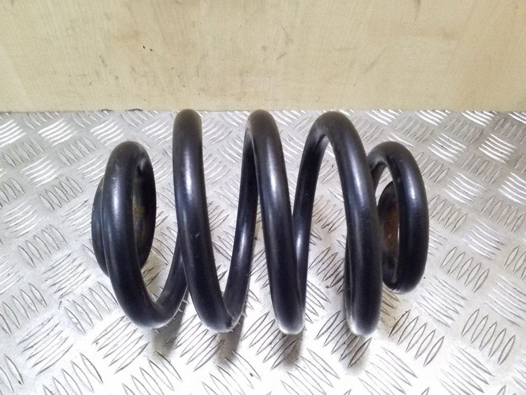 Rear coil spring