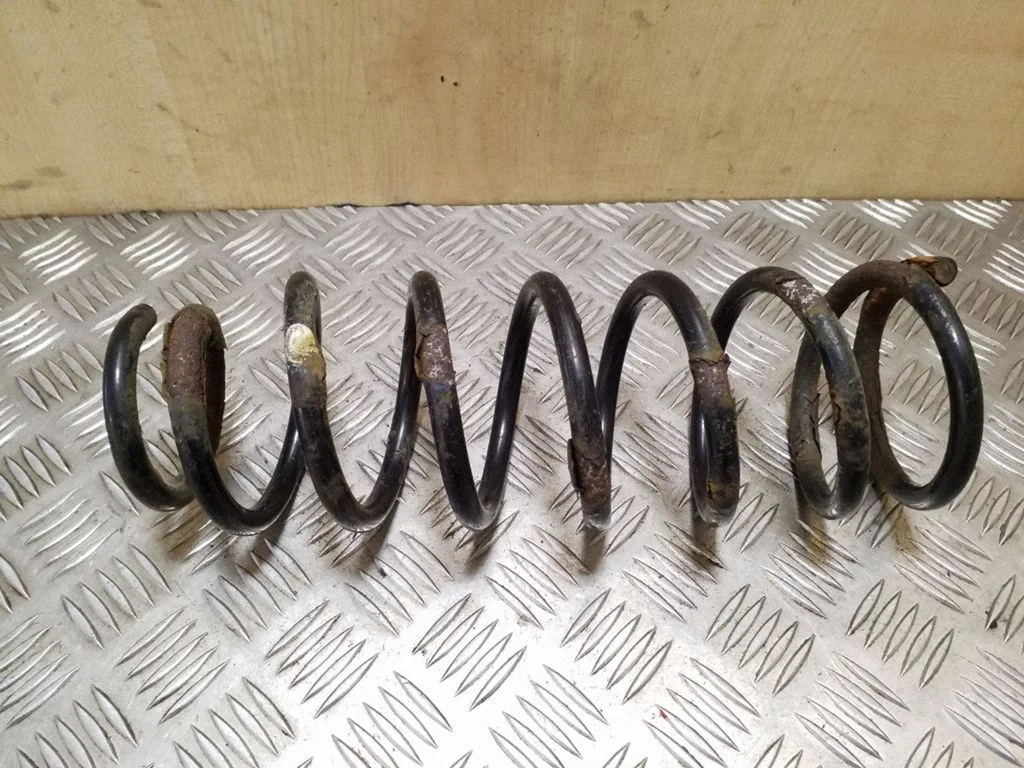 Rear coil spring