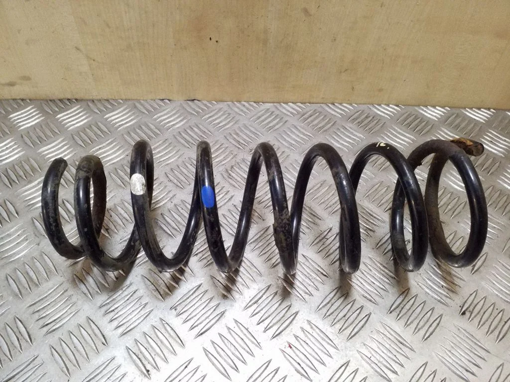 Rear coil spring