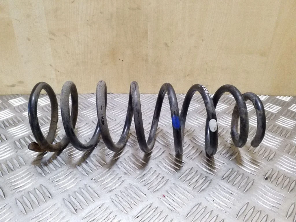 Rear coil spring
