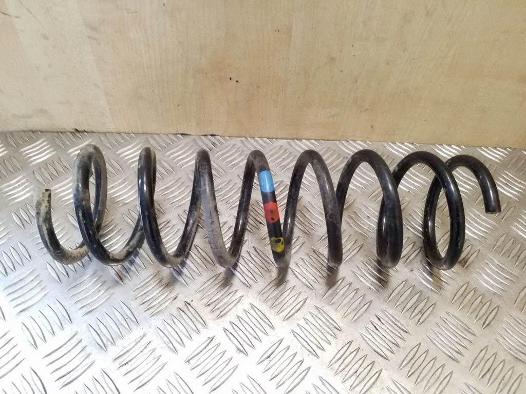 Rear coil spring