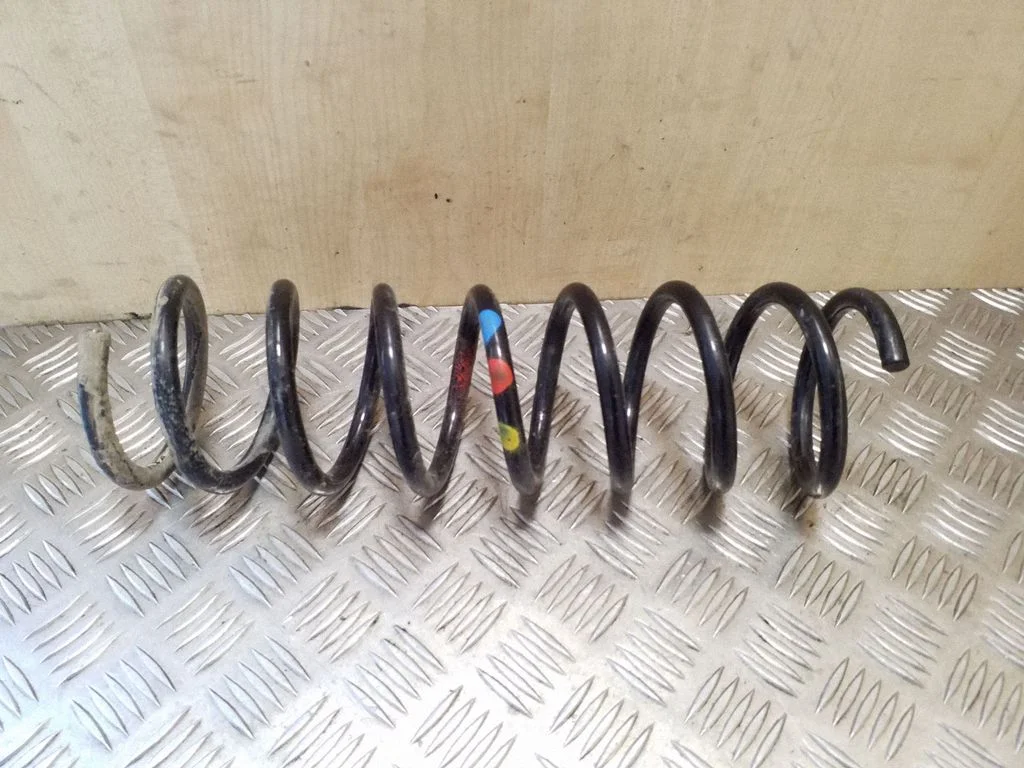 Rear coil spring