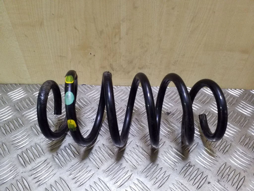Rear coil spring