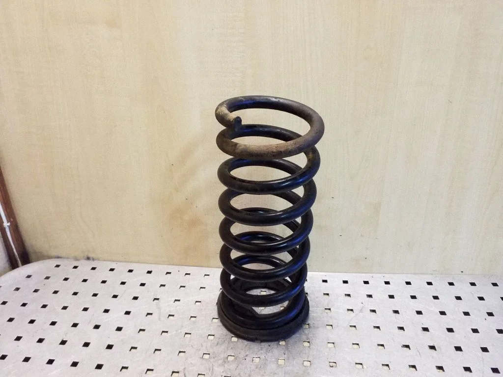 Rear coil spring