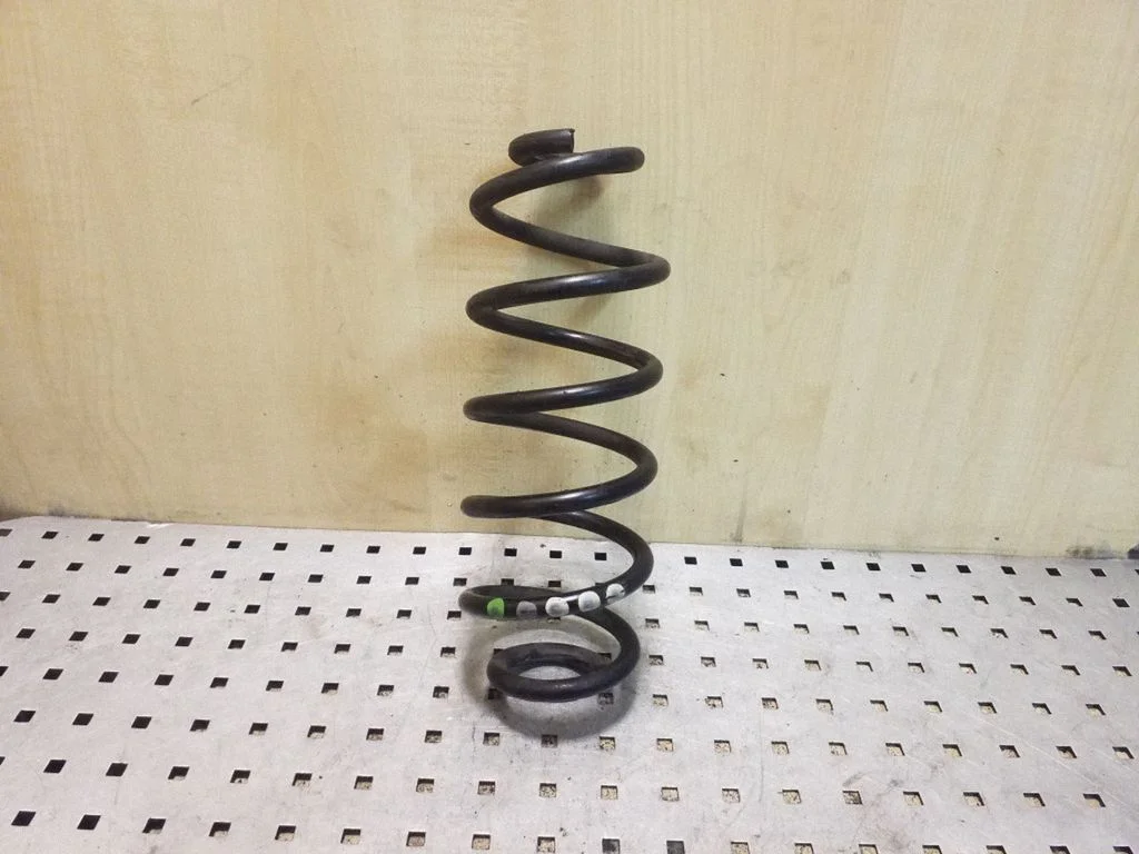 Rear coil spring