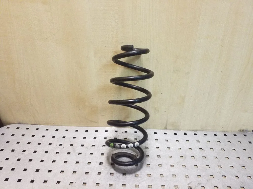 Rear coil spring