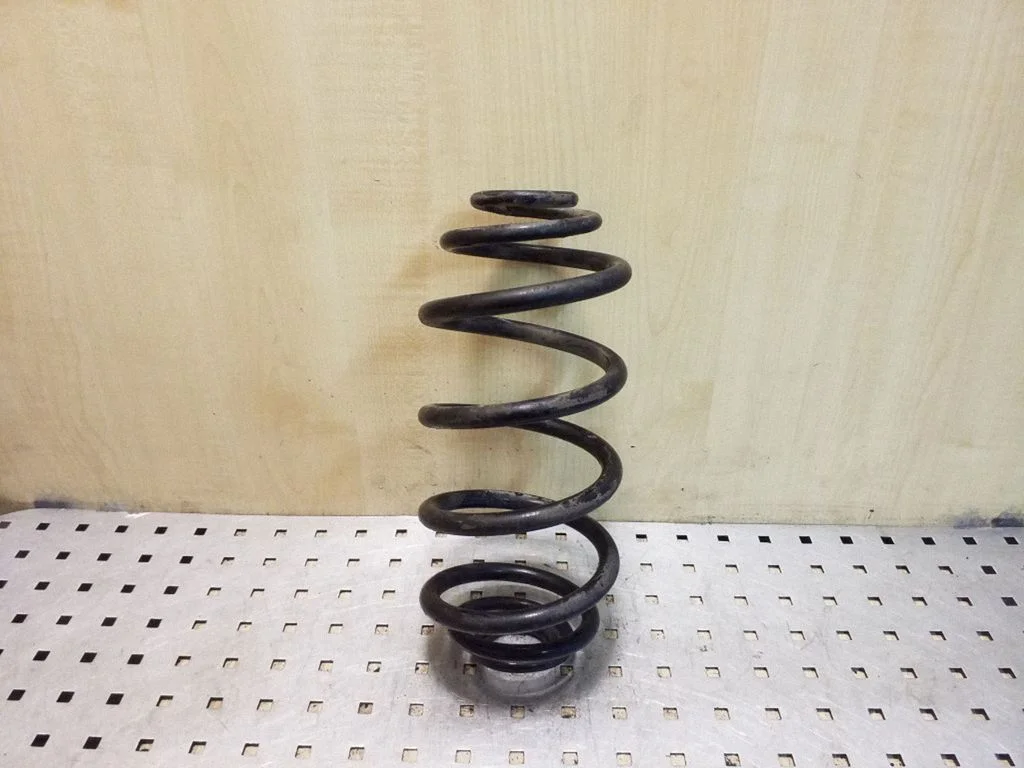 Rear coil spring