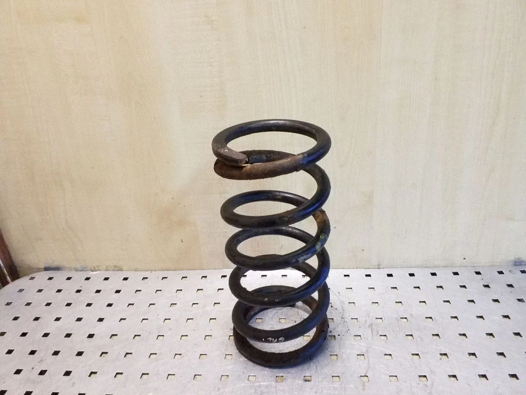Rear coil spring