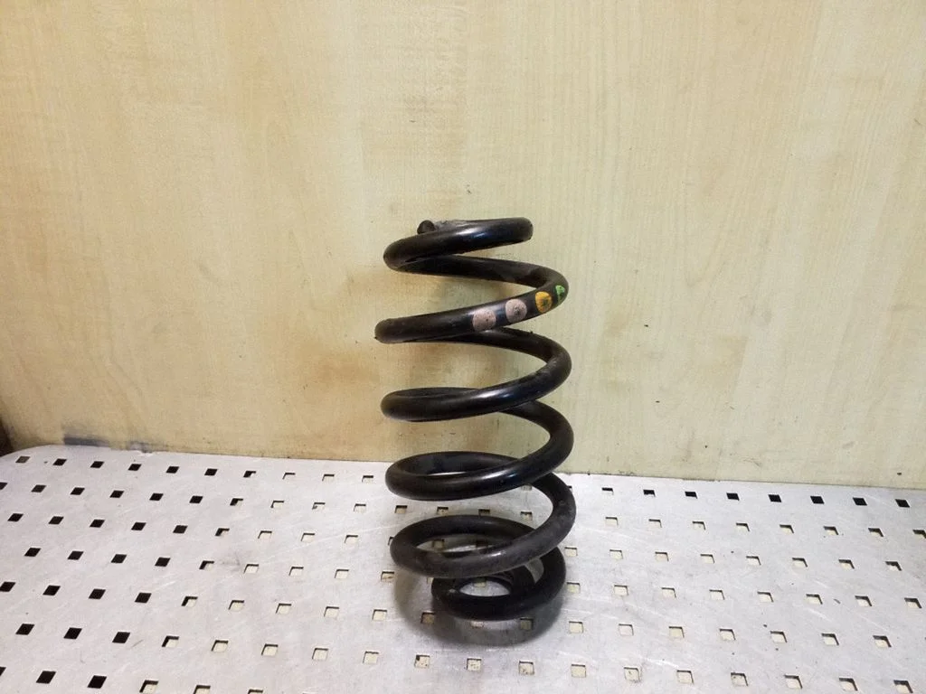 Rear coil spring