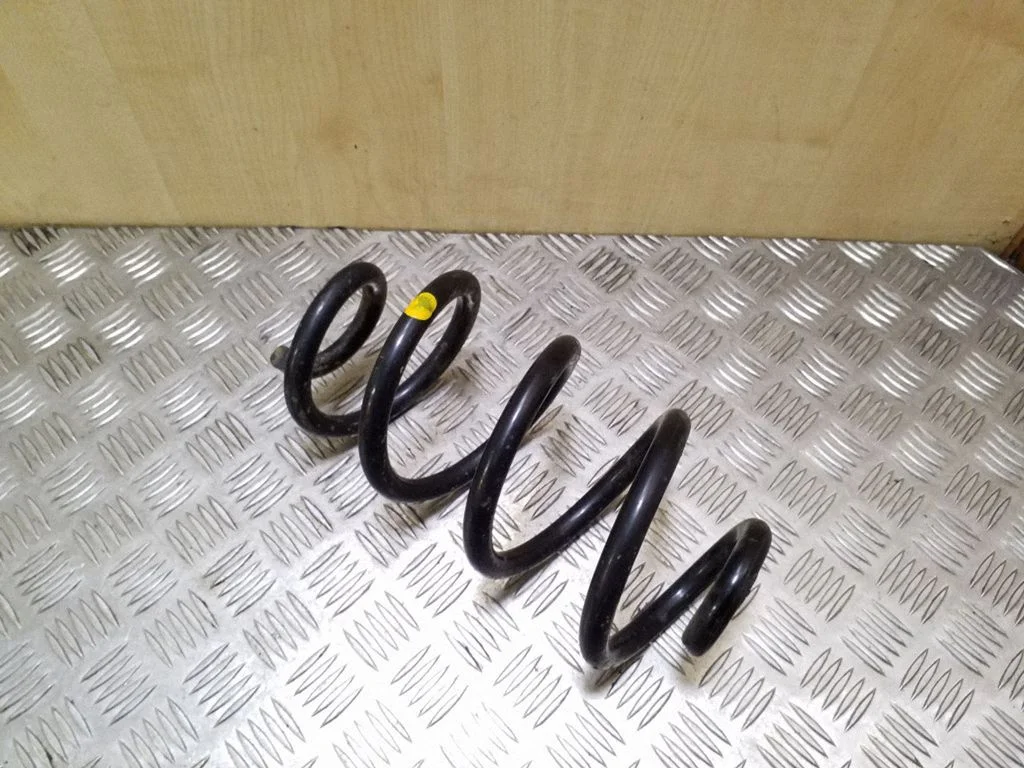 Rear coil spring