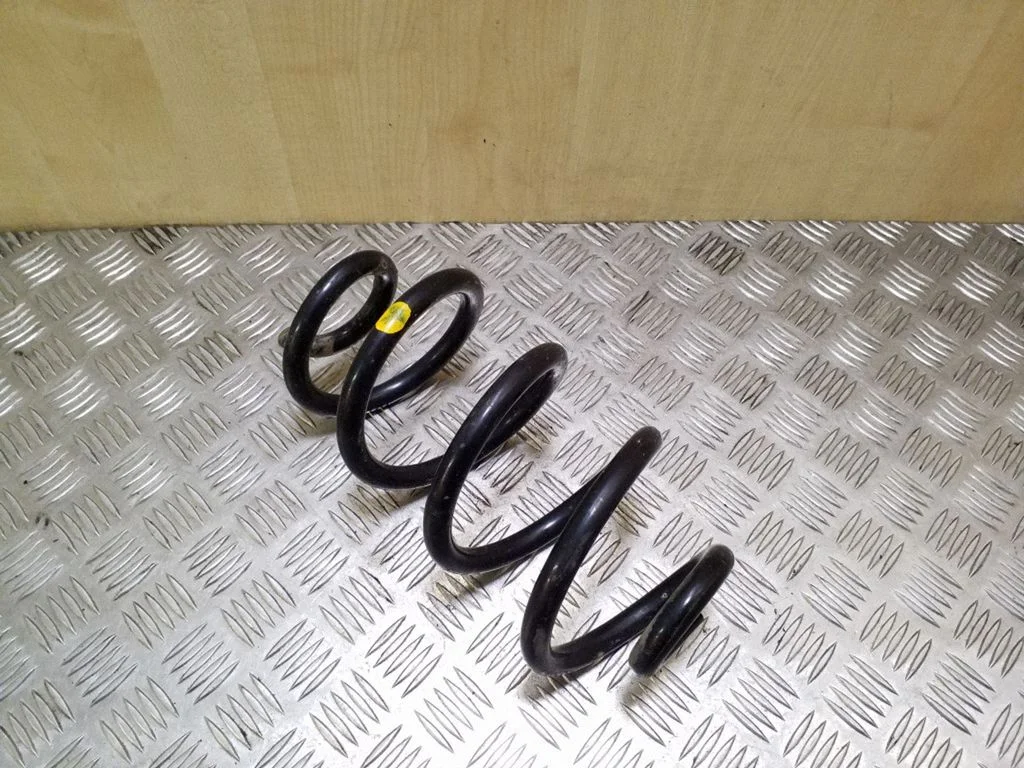 Rear coil spring