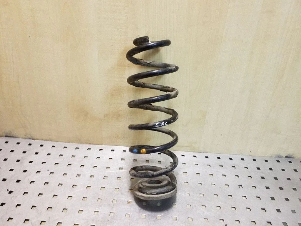 Rear coil spring