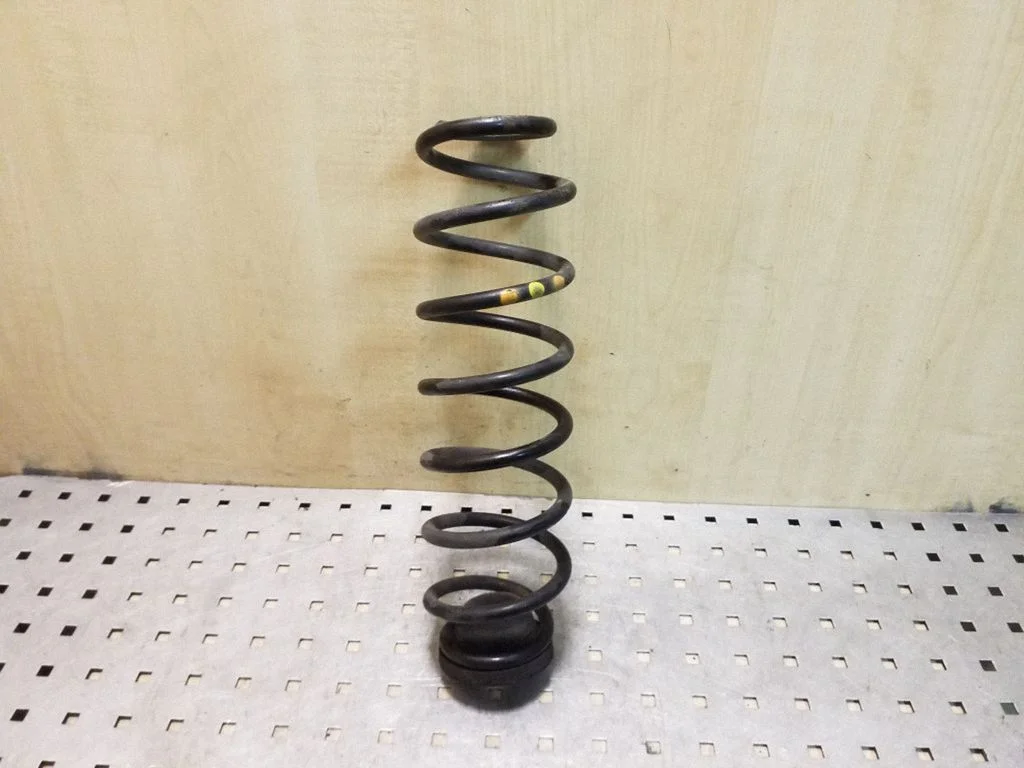 Rear coil spring