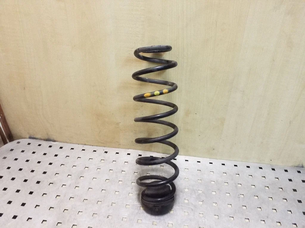 Rear coil spring