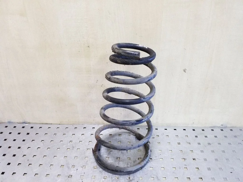 Rear coil spring