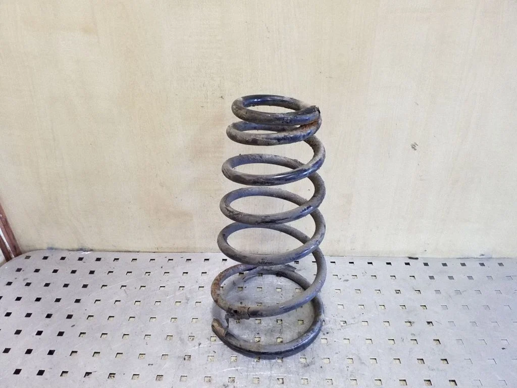 Rear coil spring