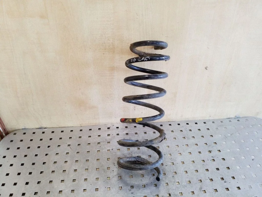 Rear coil spring