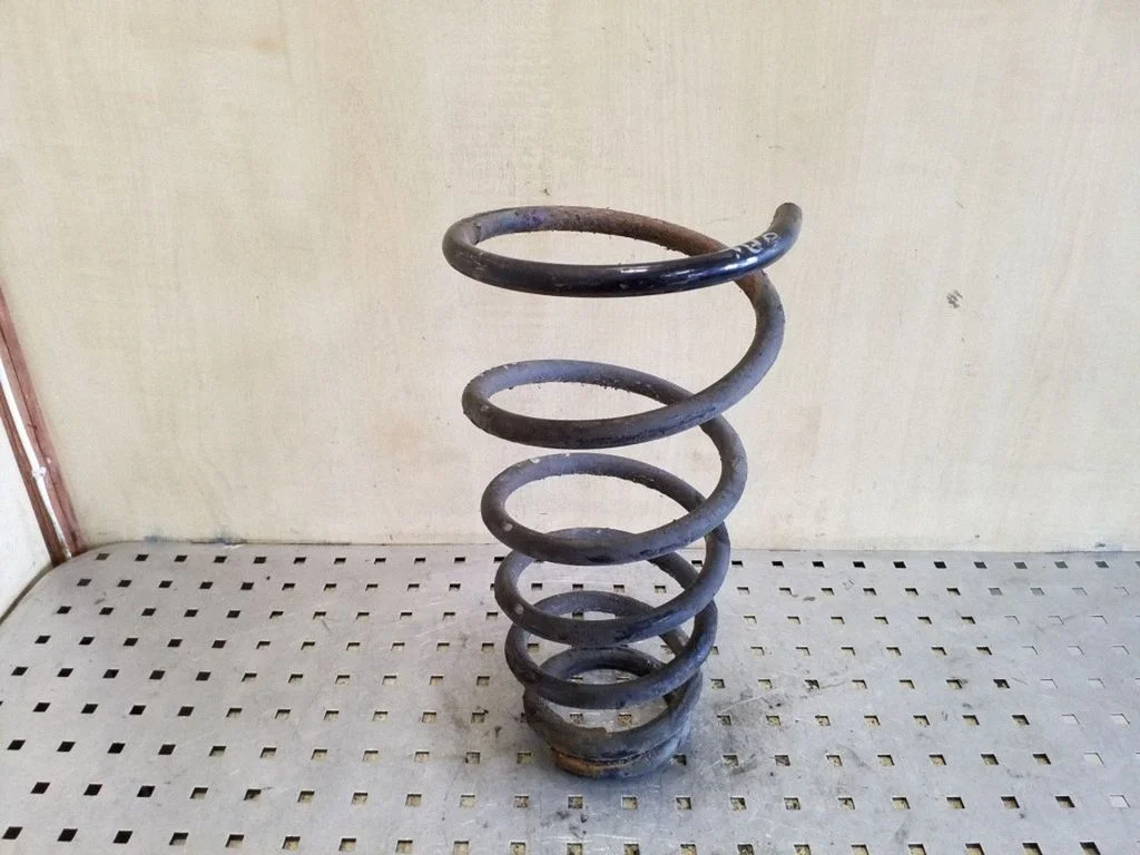 Rear coil spring