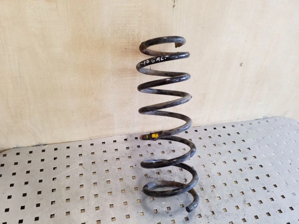 Rear coil spring