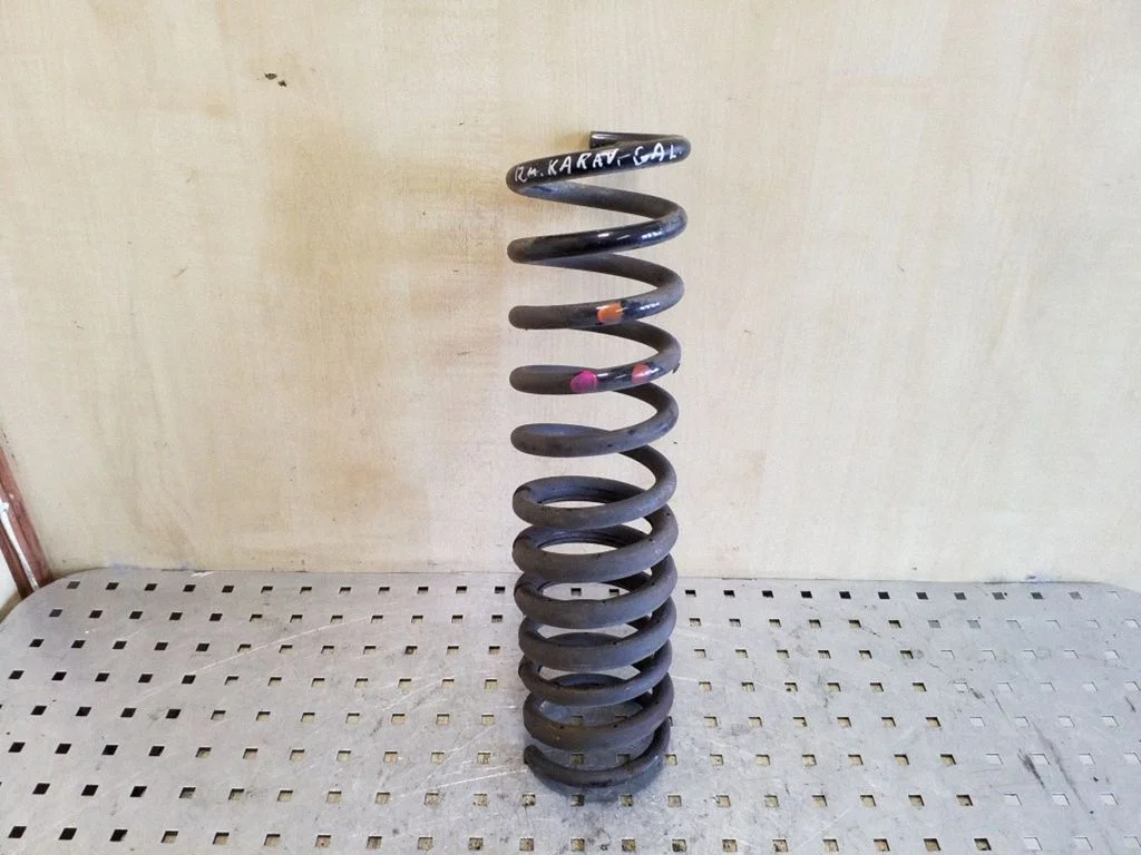 Rear coil spring