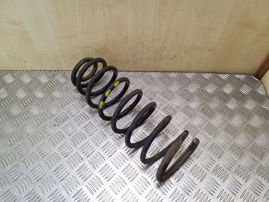 Rear coil spring