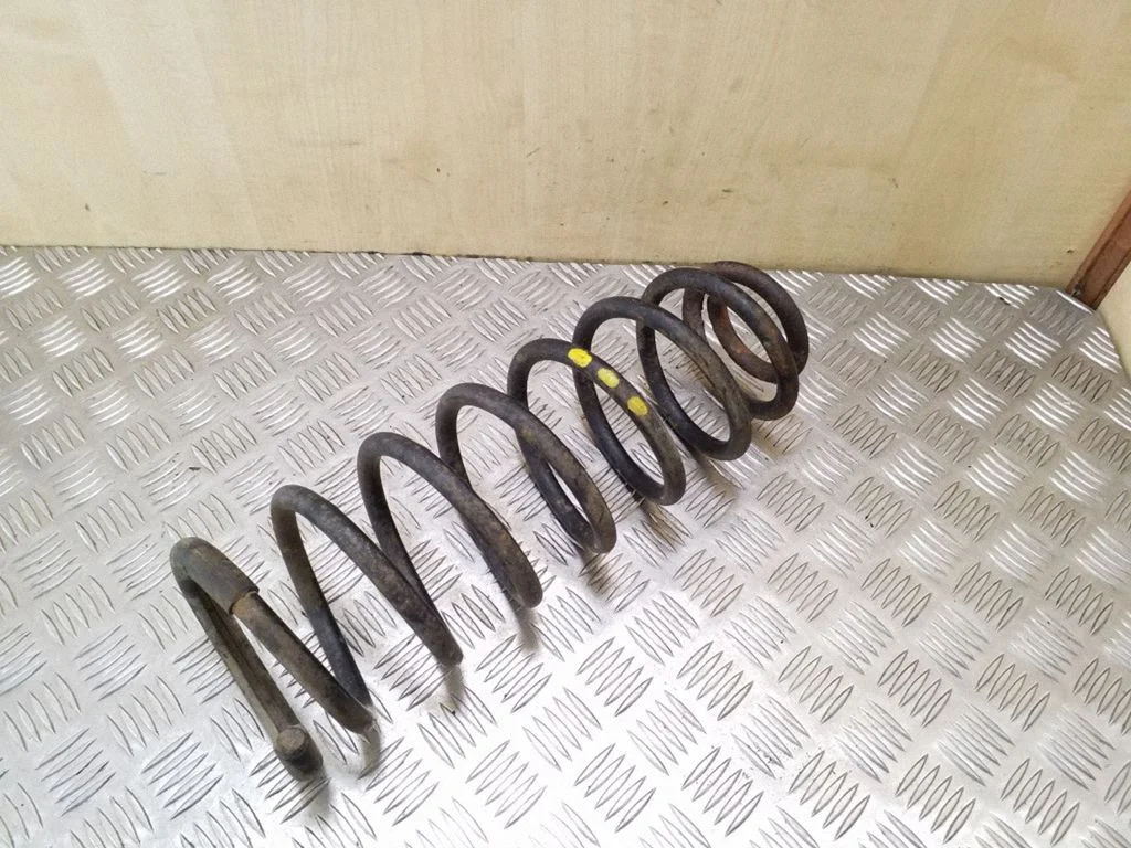 Rear coil spring