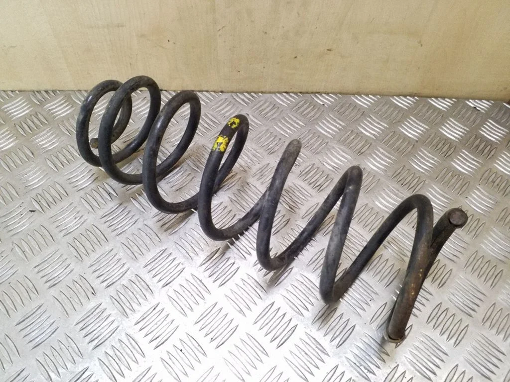 Rear coil spring