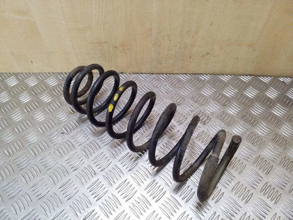 Rear coil spring