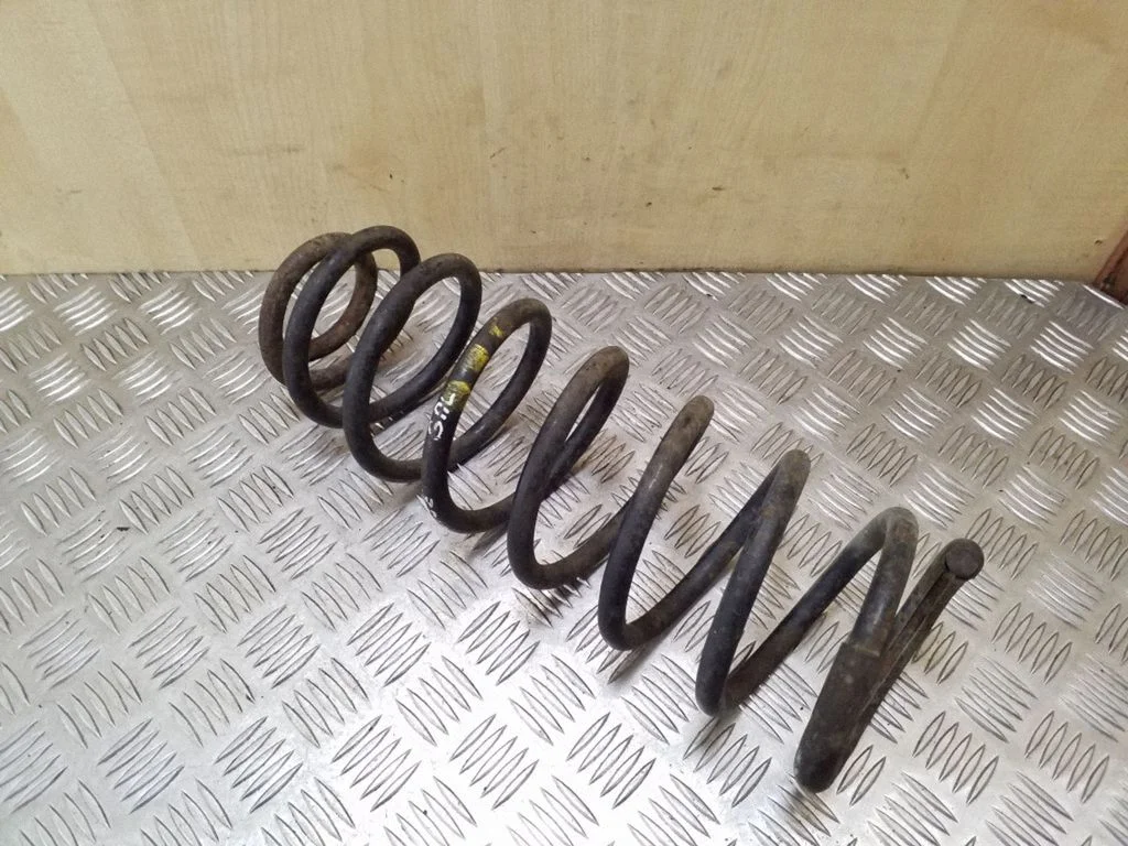 Rear coil spring