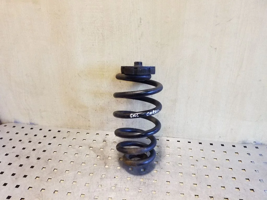 Rear coil spring