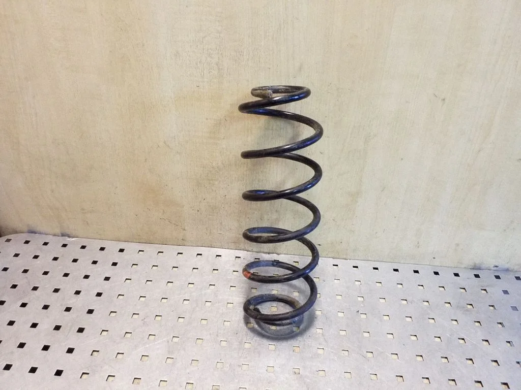 Rear coil spring