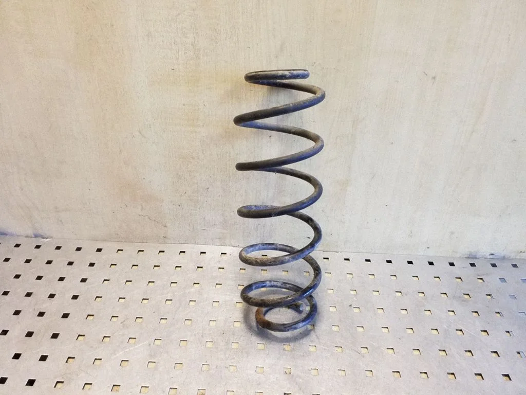 Rear coil spring