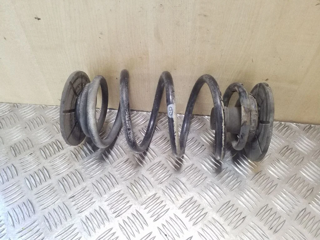 Rear coil spring