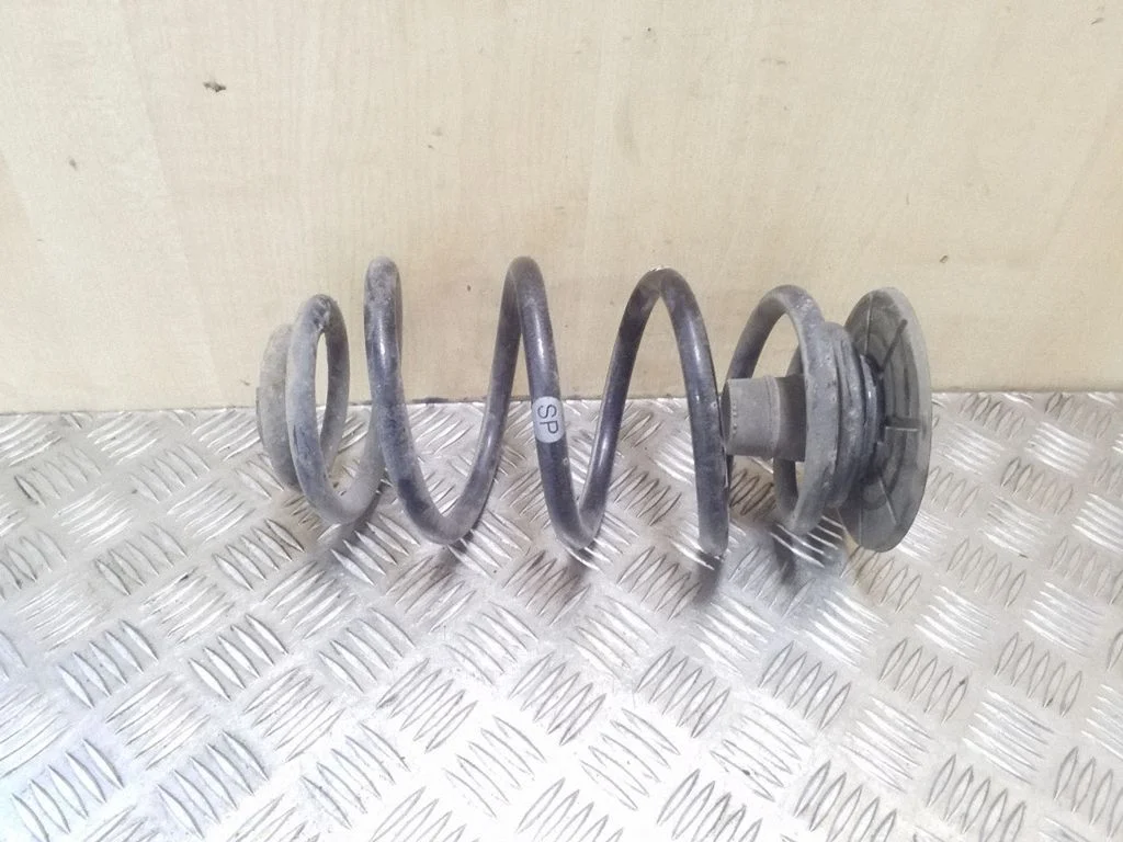 Rear coil spring