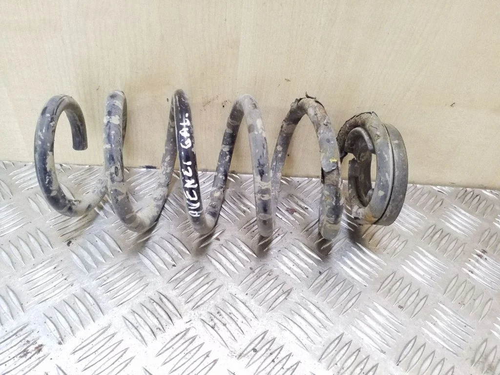 Rear coil spring
