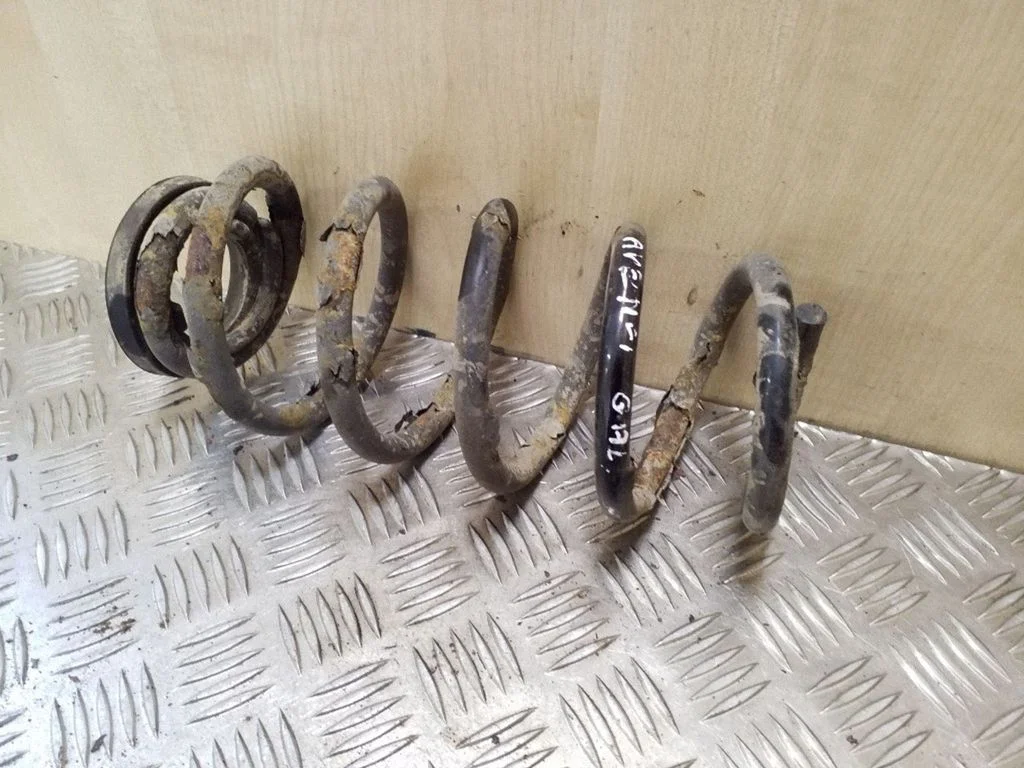 Rear coil spring