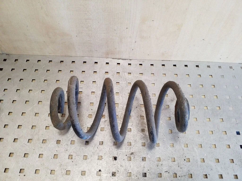 Rear coil spring