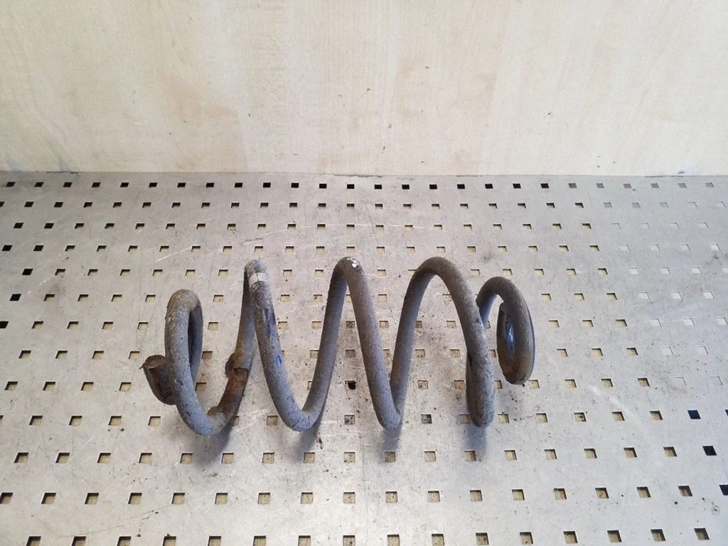 Rear coil spring