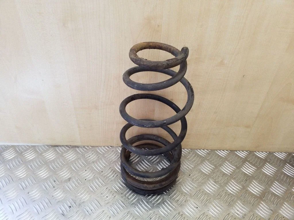 Rear coil spring