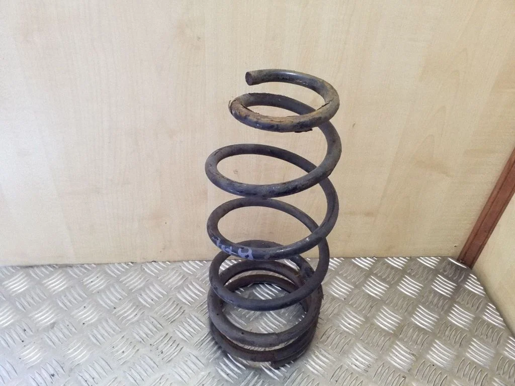 Rear coil spring