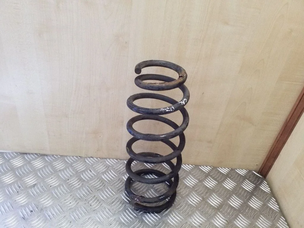 Rear coil spring
